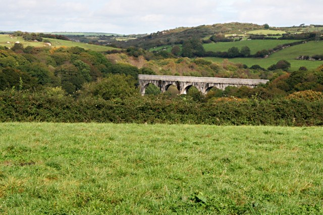 The Treffry Viaduct striding across the wooded Luxulyan Valley